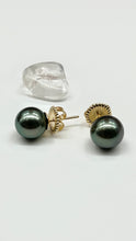 Load image into Gallery viewer, 14K Tahitian Black Pearl Earrings