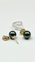 Load image into Gallery viewer, 14K Tahitian Black Pearl Earrings