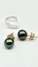 Load image into Gallery viewer, 14K Tahitian Black Pearl Earrings