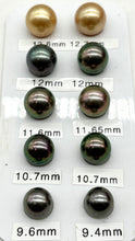 Load image into Gallery viewer, 14K Tahitian Black Pearl Earrings