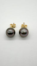Load image into Gallery viewer, Tahitian Pearl Earrings, 8-8.5mm 10K 14K 18K Gold