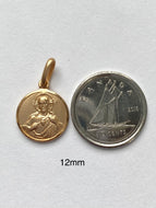 Sacred Heart Of Jesus, 12mm, 10K 18K, Solid Gold Pendant, Double Face Scapular