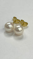 18K Pearl Gold Earrings, 8mm Japanese Pearl, Solid Gold Earrings, Bride Earrings, Birthday Gift for Women, Jewelry for Woman