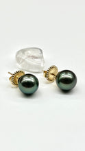 Load image into Gallery viewer, 14K Tahitian Black Pearl Earrings
