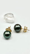 14K Tahitian Black Pearl Earrings